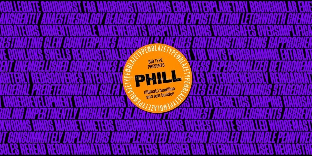 Phill高级感可变字体